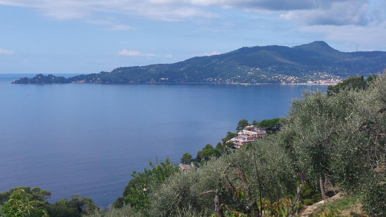 Mare E Vista Portofino - Sea And Portofino View Zoagli Exterior photo