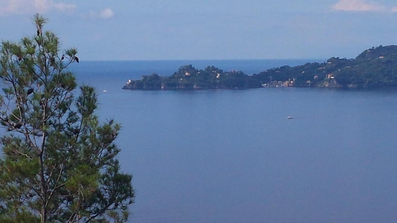 Mare E Vista Portofino - Sea And Portofino View Zoagli Exterior photo